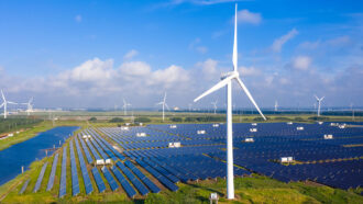 A grassy field full of solar panels. One windmills stands in the foreground with others near the horizon.