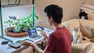 a young man sitting at a desk in front of several plants under a light, a robot arm, and sevearl phones and controllers, a cute cat supervises