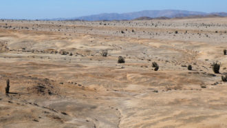 Pan de Azúcar National Park