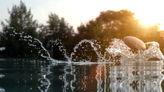 a stone kicks up three arcs of water behind it as it skips over the surface of a pond, with sun shining through trees in the background