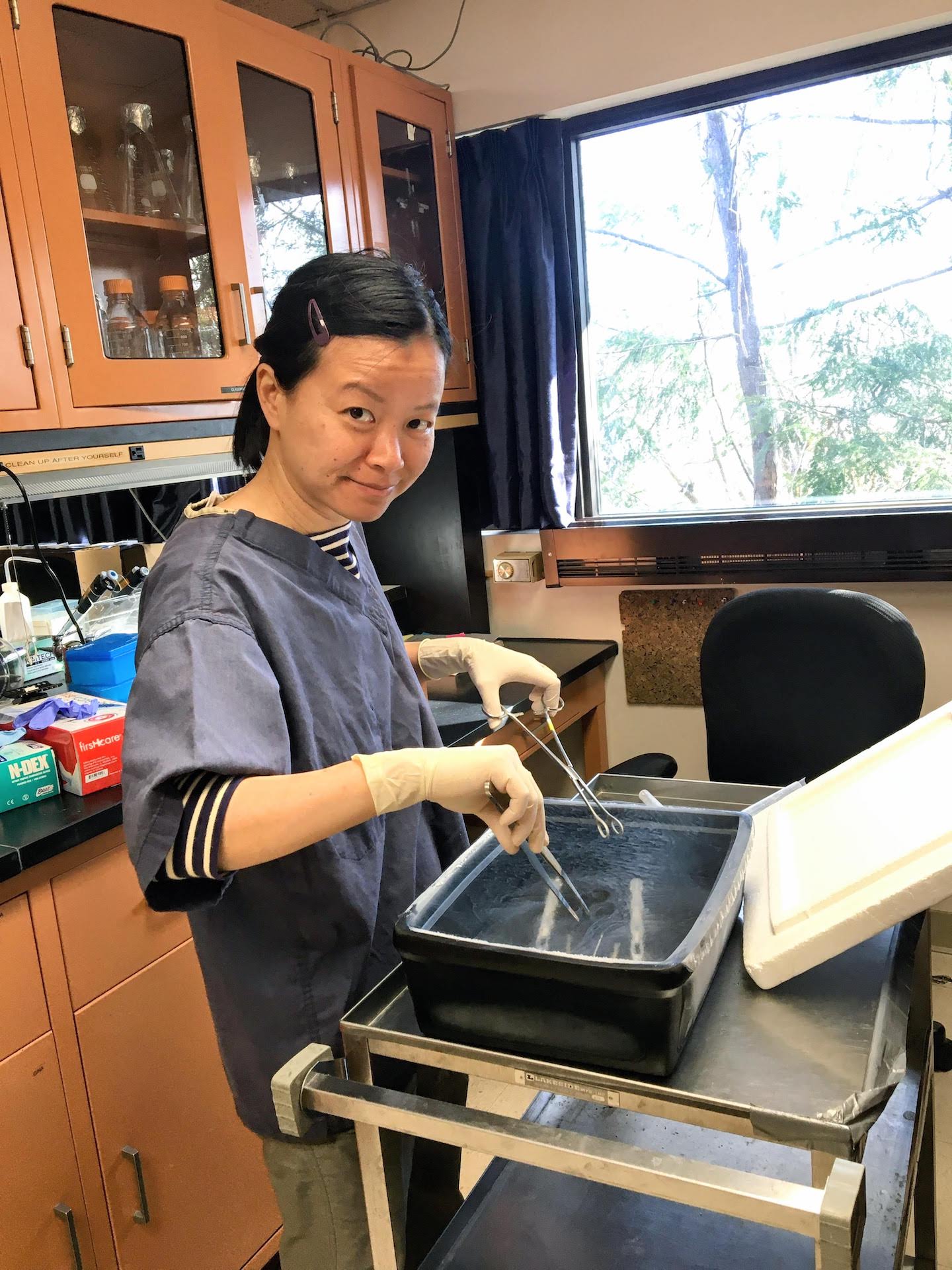 a woman stands in a lab with her sleeves roled up to her eblows, using tooks to maneuver something in a grey bin in front of her