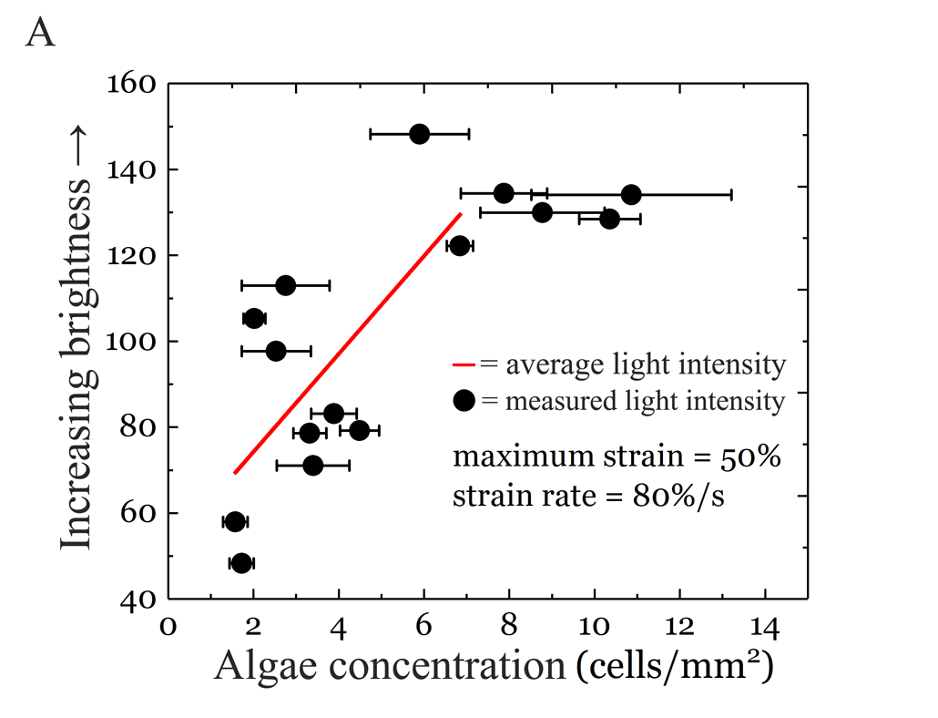 a graph showing how much blue light microbes gave off