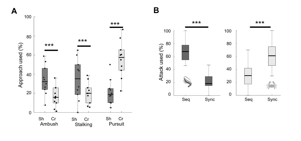 a graph showing different attack strategies used by octopuses for crabs and shrimp