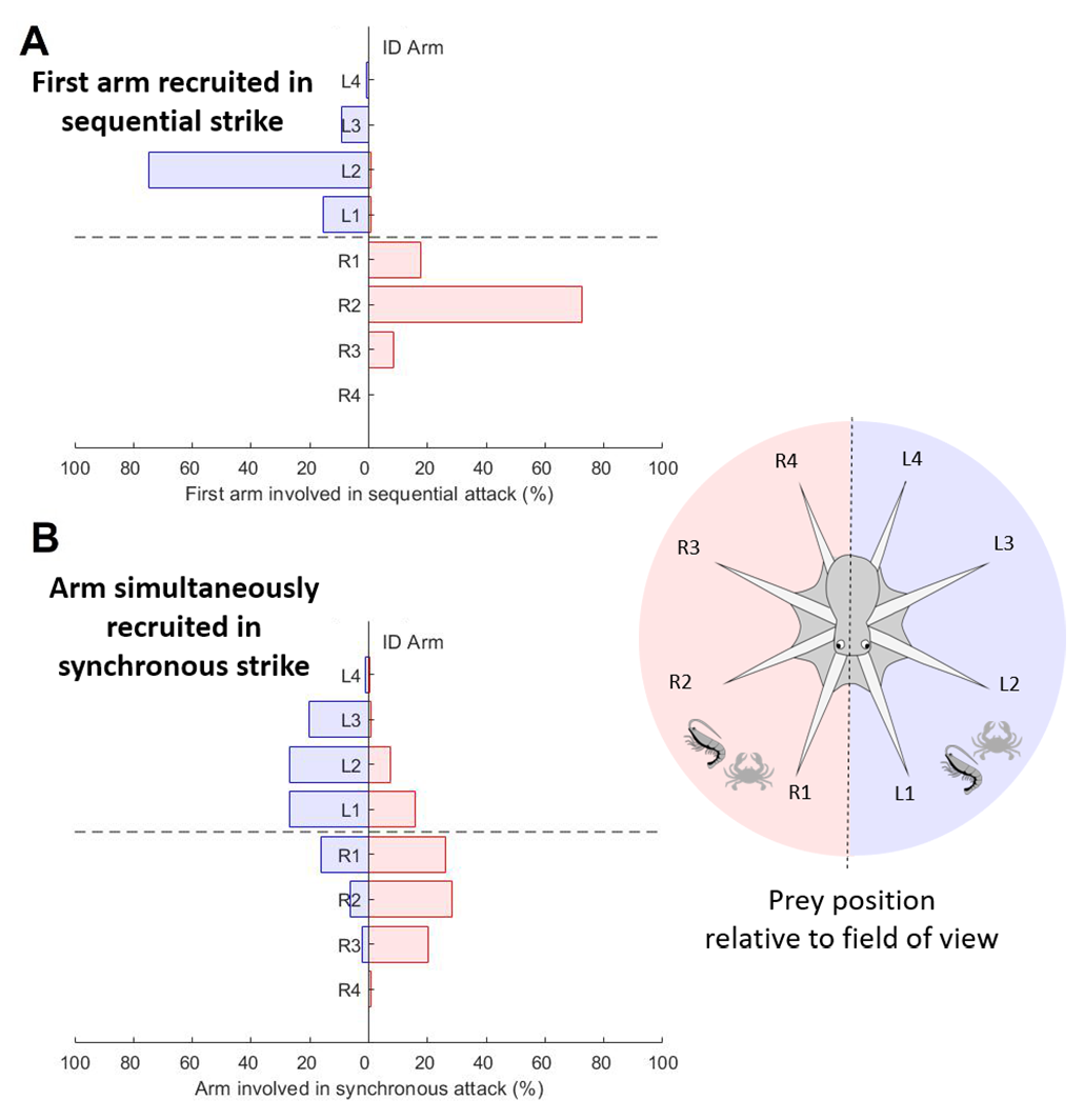 graphs showing which arms were favored by the octopus for hunting in various situations