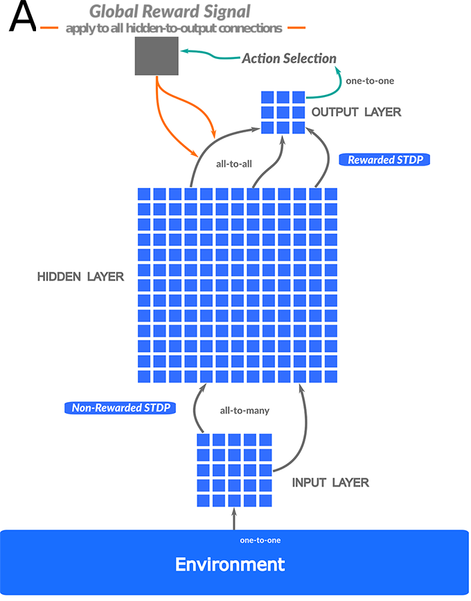 a visualization of how the awake and alseep phases for the network AI model