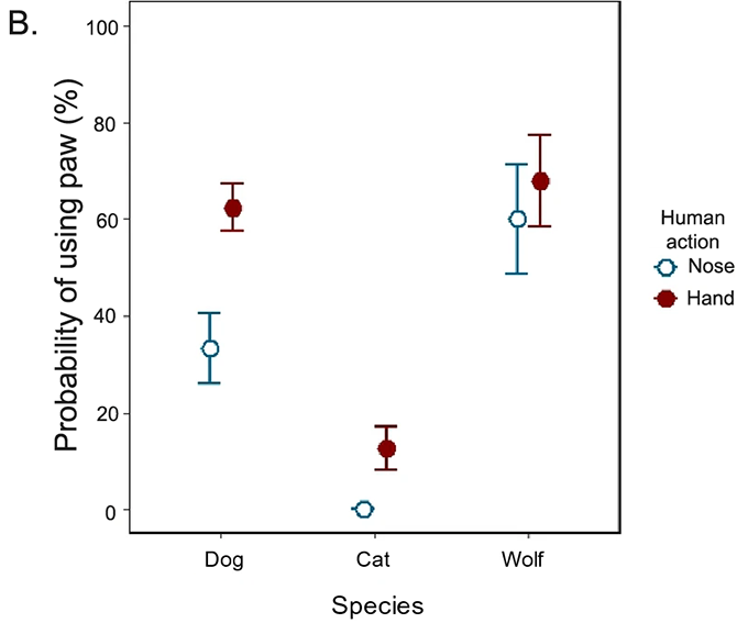 a graph showing the probability of a dog, cat or wolf using their paws for an action